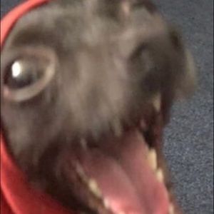 Meet your Posher, Celine